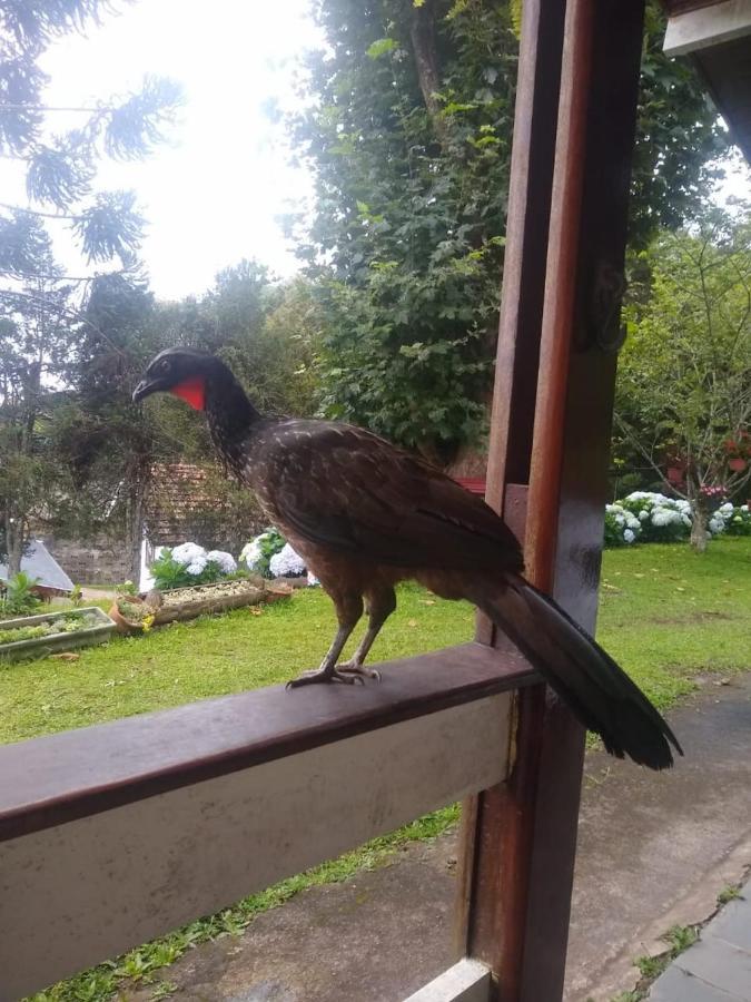 Casa de Férias Alecrin, Lançamento Em Conforto E Estilo! Campos do Jordão