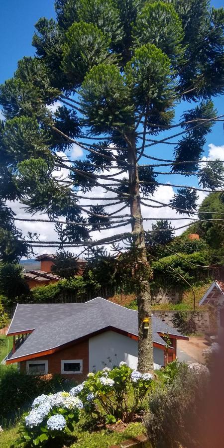 Alecrin, Lançamento Em Conforto E Estilo! Casa de Férias *