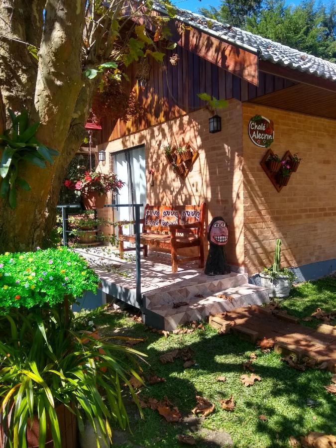 Alecrin, Lançamento Em Conforto E Estilo! *