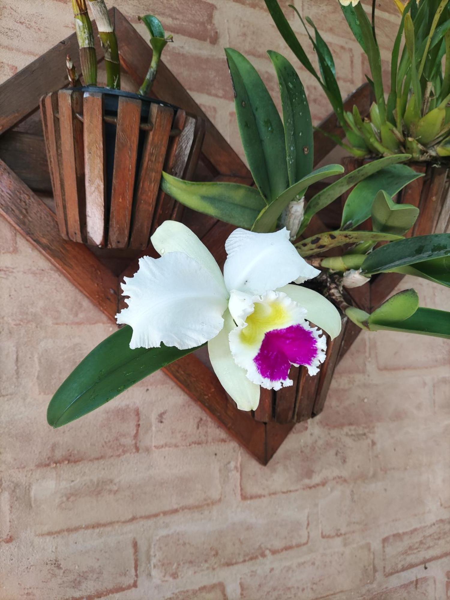 Casa de Férias Alecrin, Lançamento Em Conforto E Estilo!