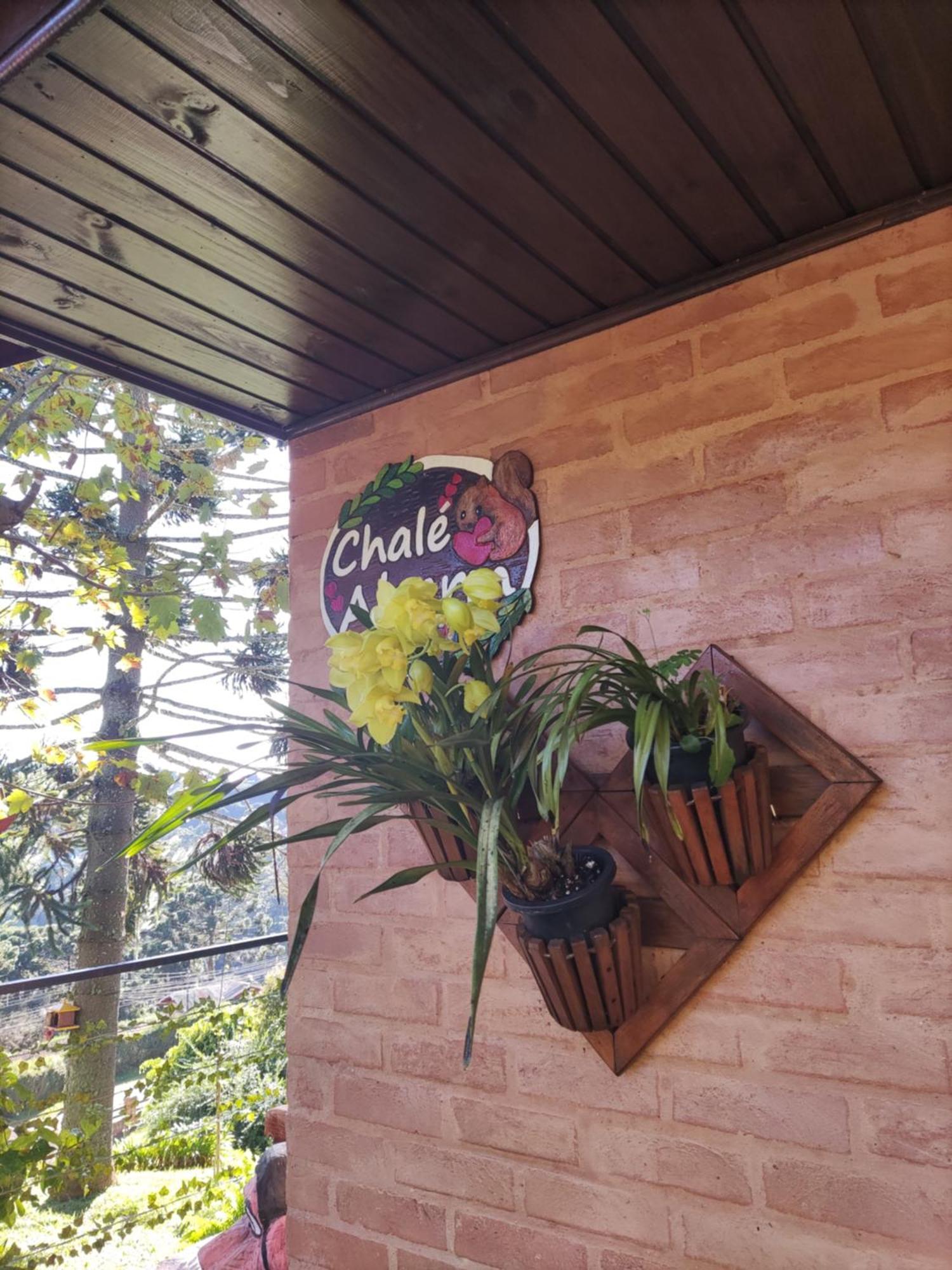 Alecrin, Lançamento Em Conforto E Estilo! Casa de Férias *