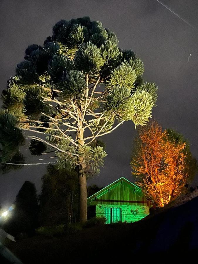 Chale Alecrin, Lancamento Em Conforto E Estilo! * Campos do Jordao