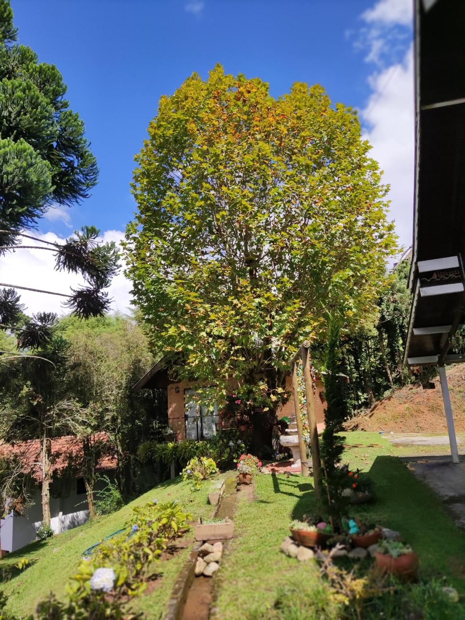 Chale Alecrin, Lancamento Em Conforto E Estilo! Campos do Jordao
